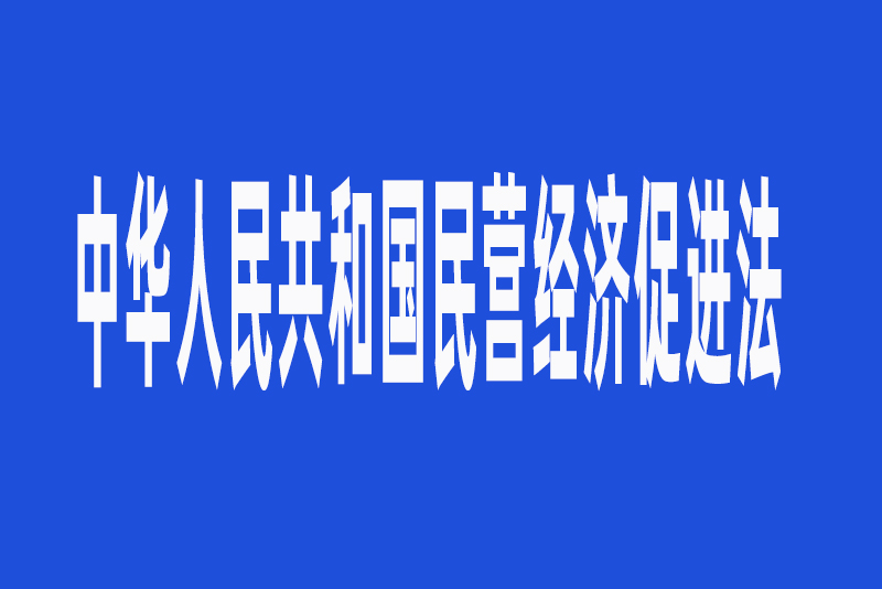 中華人民共和國民營經濟促進法